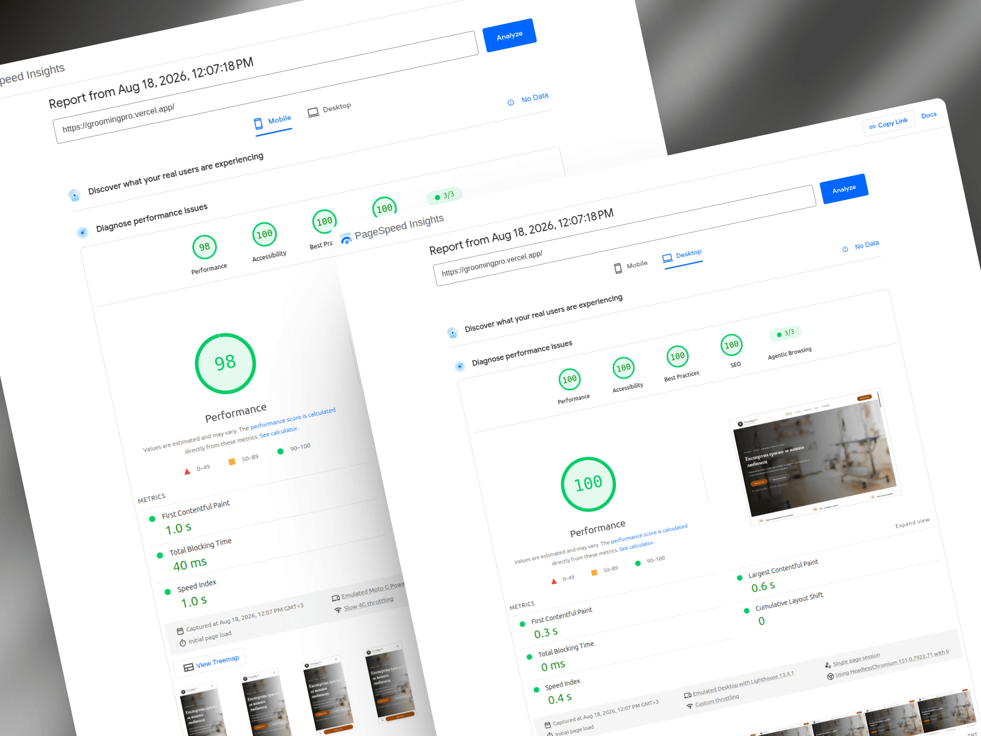 PageSpeed Insights резултати на уебсайта Grooming Pro
