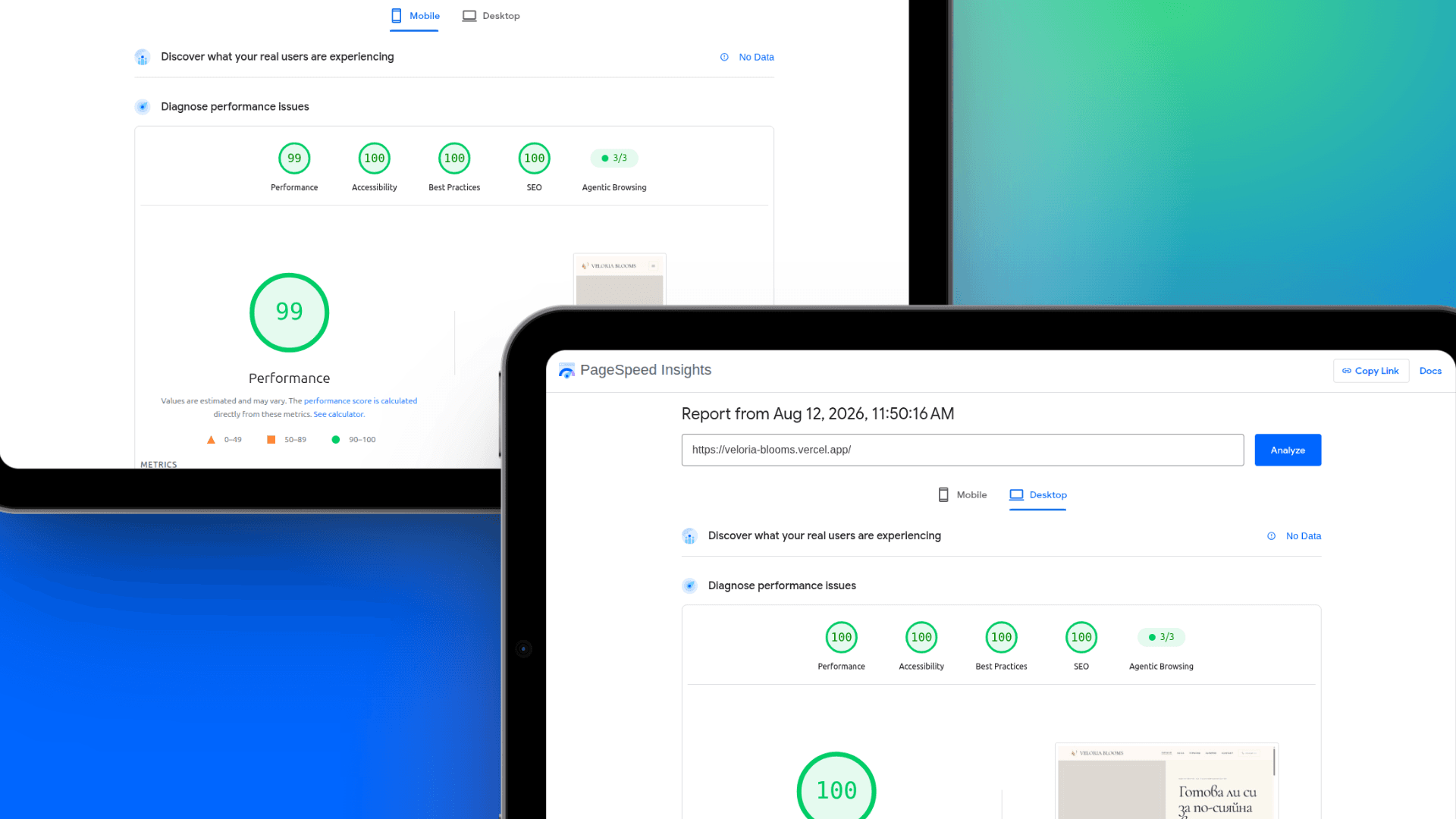Google PageSpeed Insights резултати за Veloria Blooms