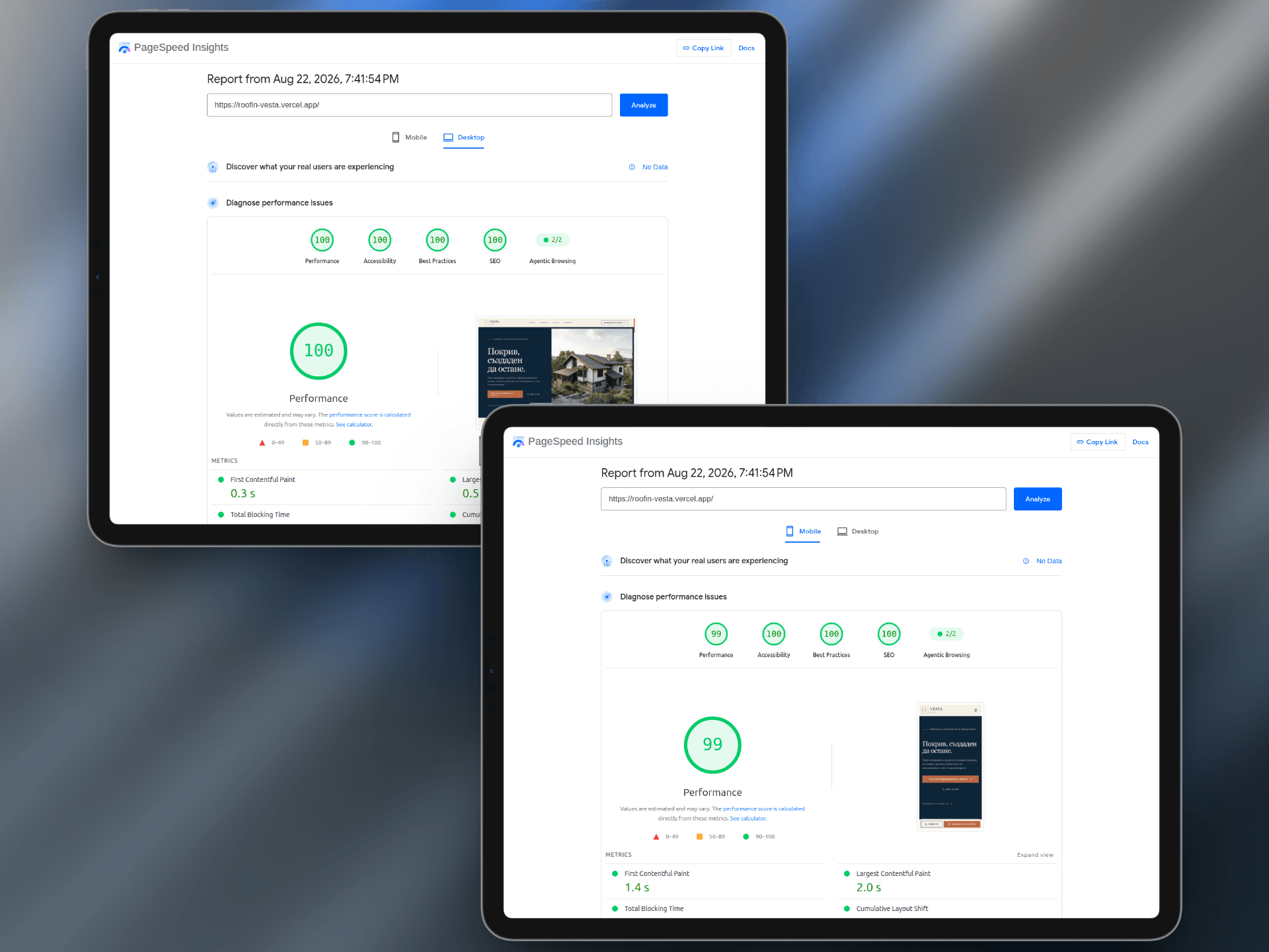 Google PageSpeed Insights резултати за VESTA ROOF